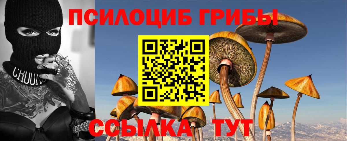 Псилоцибиновые грибы мицелий Златоуст