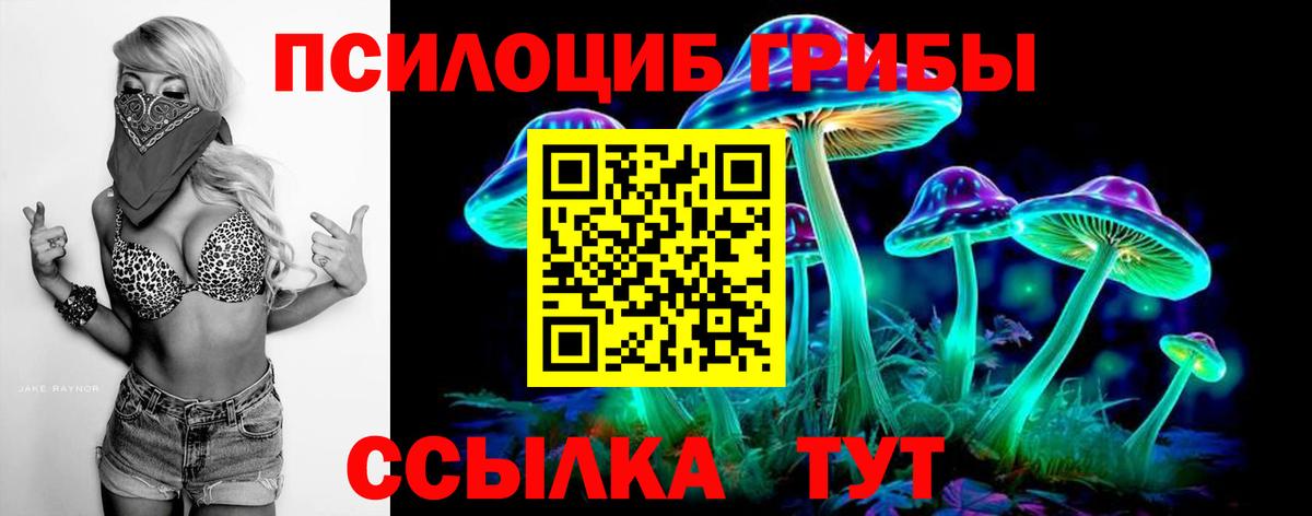 Галлюциногенные грибы Psilocybine cubensis  Галлюциногенные грибы прущие грибы  Златоуст  Вход с VPN 